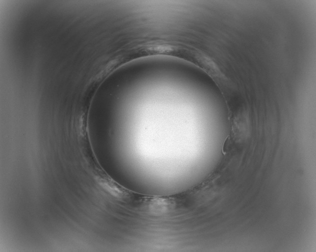 X0000070420330200606091244