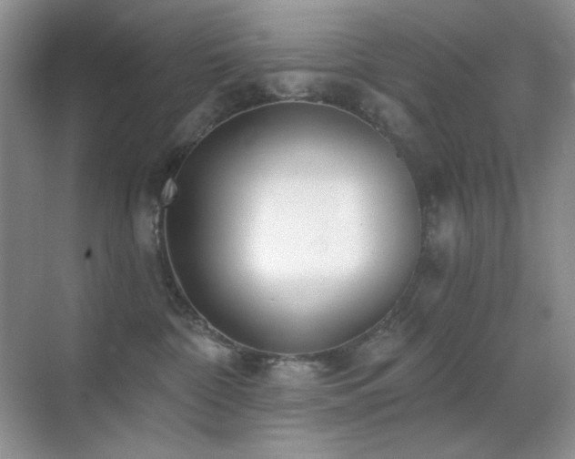 X0000070420332200606091244