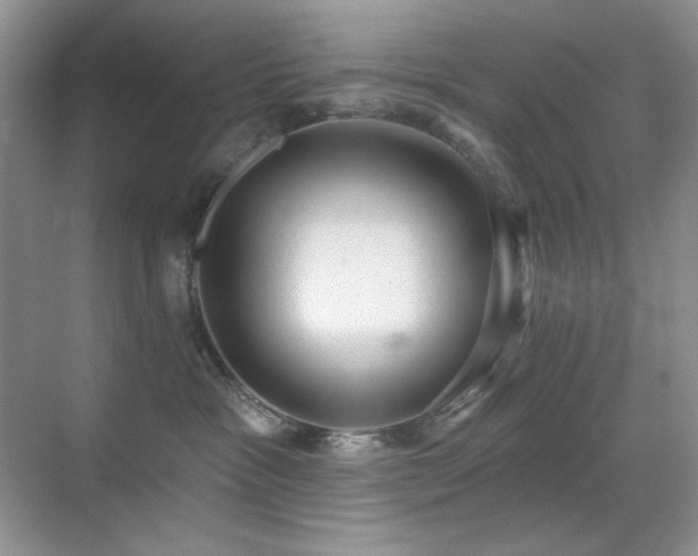 X0000070420333200606091244