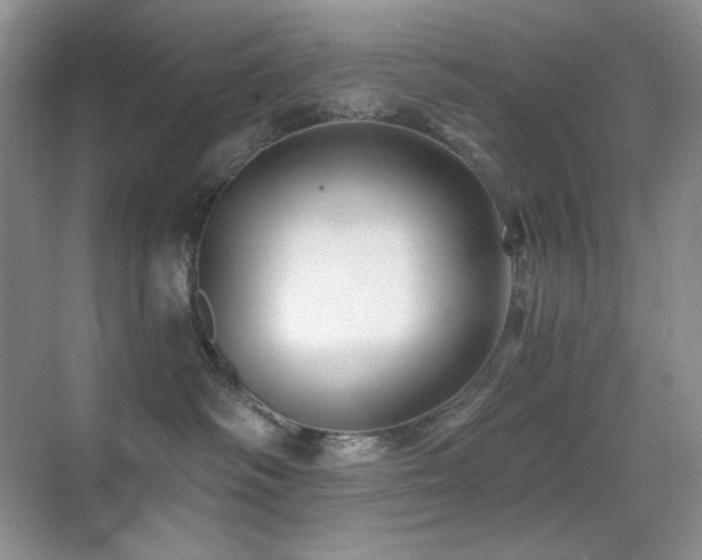 X0000070420334200606091244