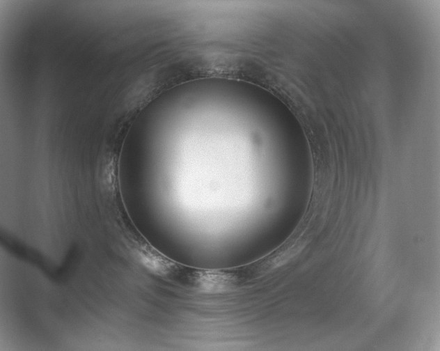X0000070420336200606091244
