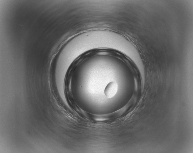 X0000070420339200606091243