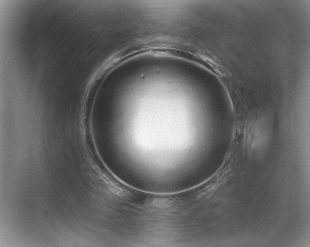 X0000070420341200606091244