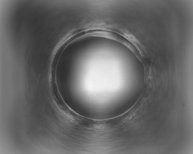 X0000070420344200606091244