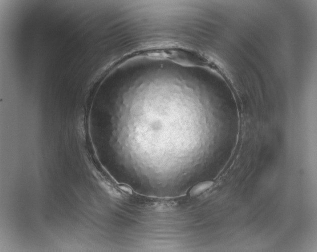 X0000070420345200606091244