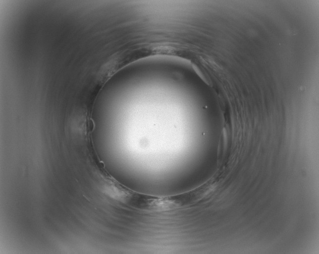 X0000070420379200606091244