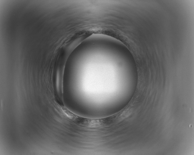 X0000070420384200606091244