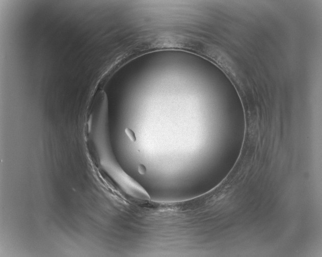 X0000070420386200606091243