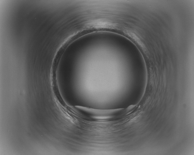X0000070420391200606091243