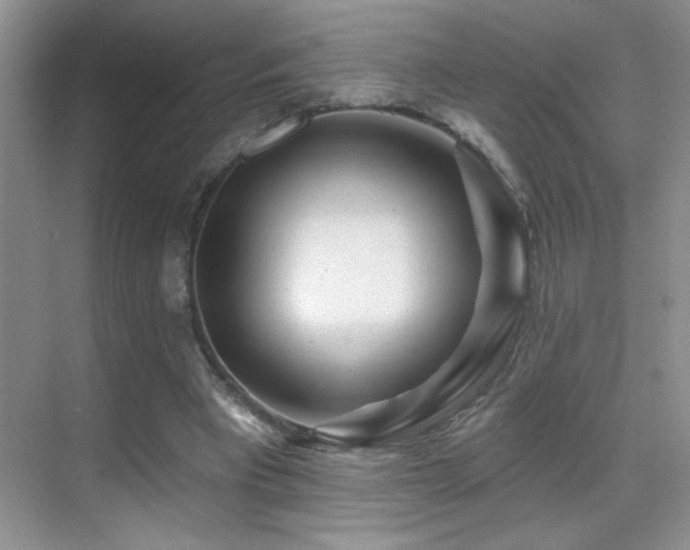 X0000070420393200606091243