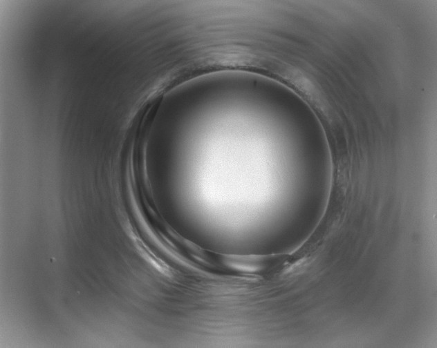 X0000070420397200606091243