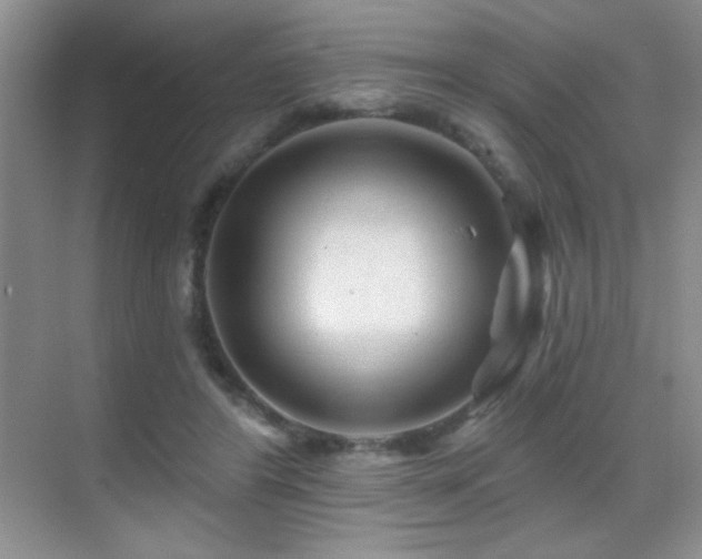X0000070420404200606091243