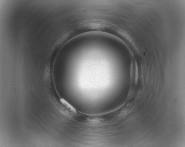 X0000070420407200606091243
