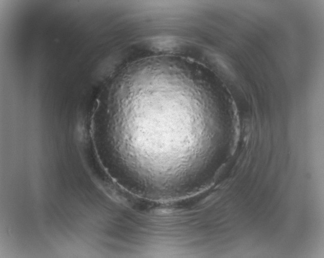 X0000070420408200606091243
