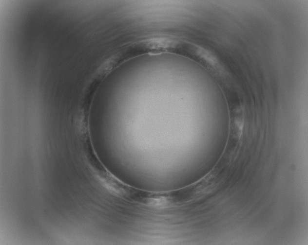 X0000070420411200606091243
