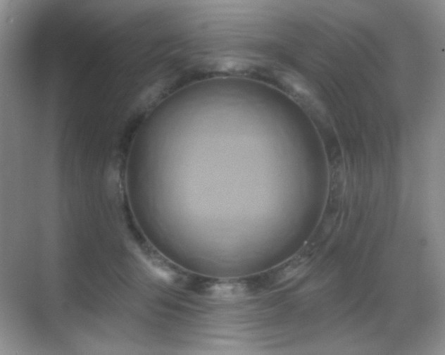 X0000070420415200606091243