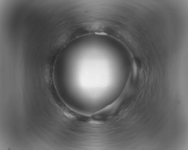 X0000070420416200606091243