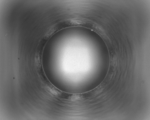 X0000070420418200606091243