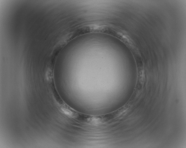 X0000070420419200606091243