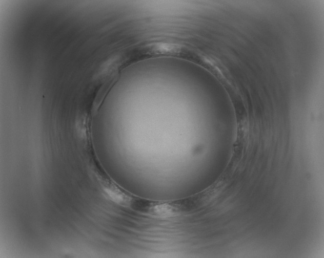 X0000070420423200606091243