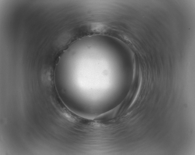 X0000070420424200606091243