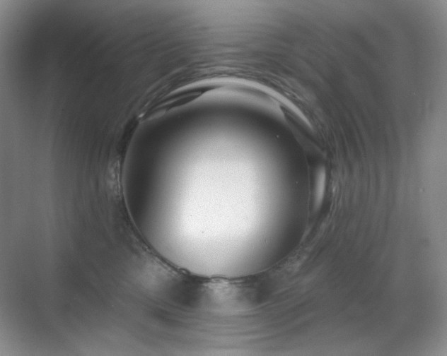 X0000070420425200606091243