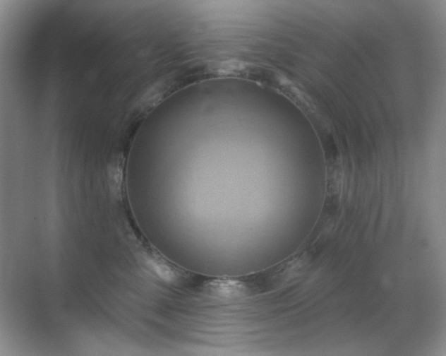 X0000070420427200606091243