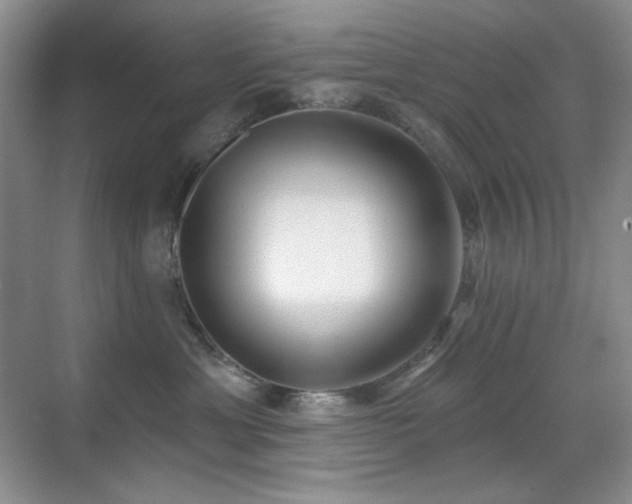 X0000070420429200606091243