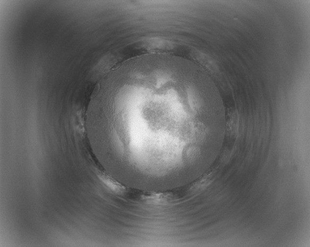 X0000070420430200606091243