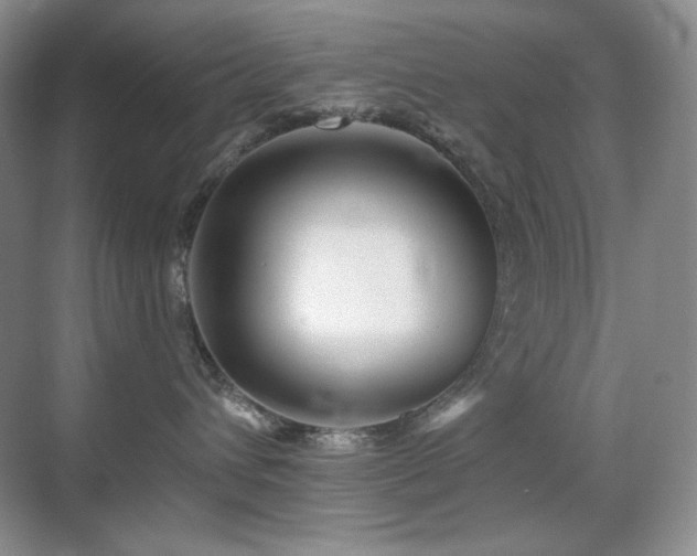 X0000070420432200606091243