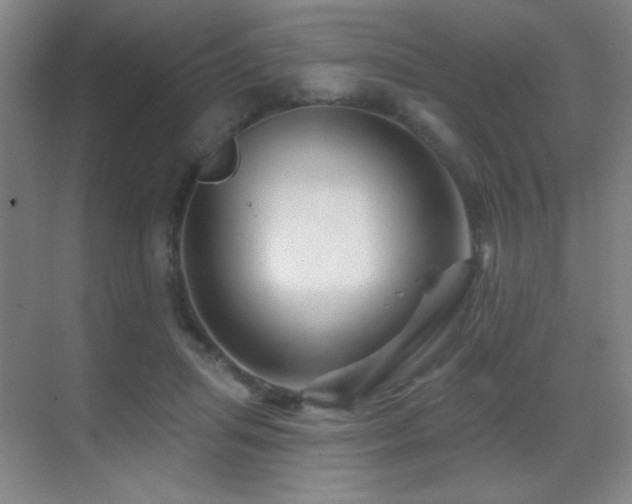 X0000070420455200606091242
