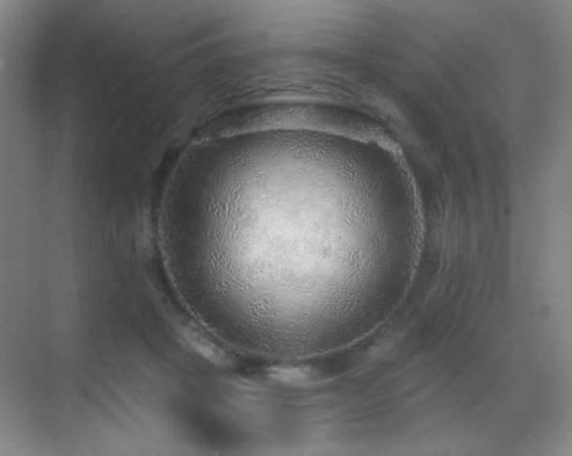 X0000070420457200606091242