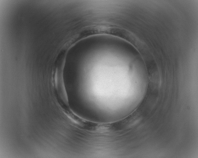 X0000070420462200606091242