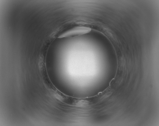 X0000070420463200606091242