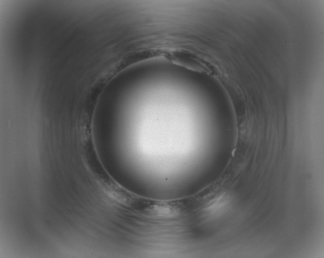 X0000070420464200606091242