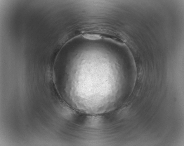 X0000070420469200606091242
