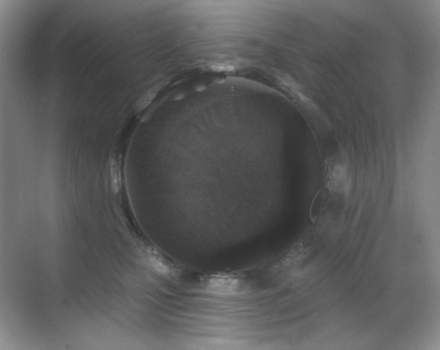 X0000070420471200606091242