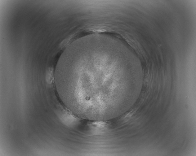 X0000070420478200606091243