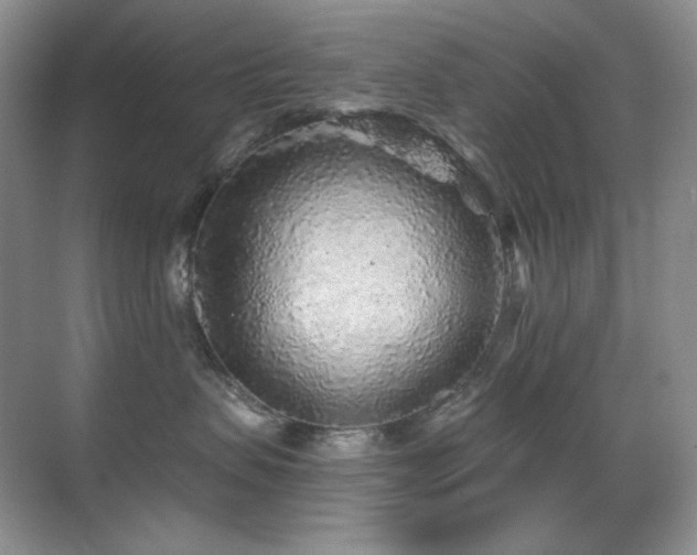 X0000070420479200606091243