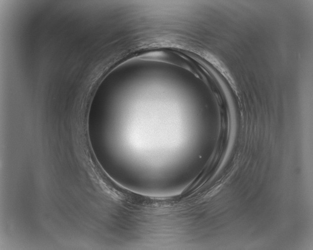 X0000070420481200606091242