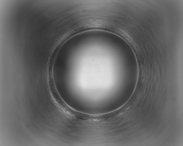 X0000070420482200606091242