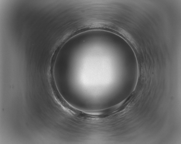 X0000070420485200606091242