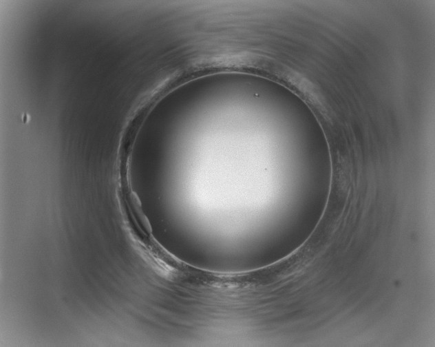 X0000070420486200606091242
