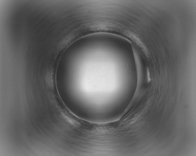 X0000070420489200606091242