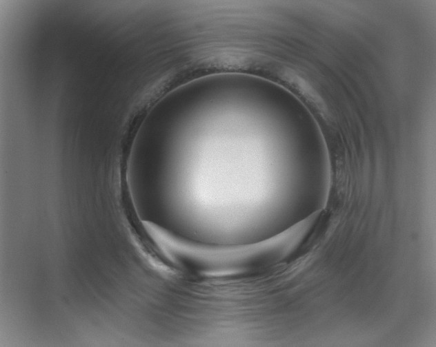 X0000070420493200606091242