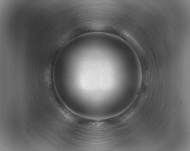 X0000070420497200606091242