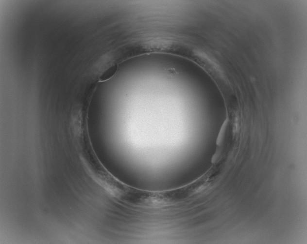 X0000070420498200606091242