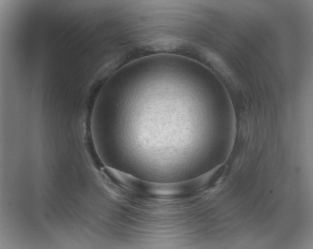 X0000070420501200606091241