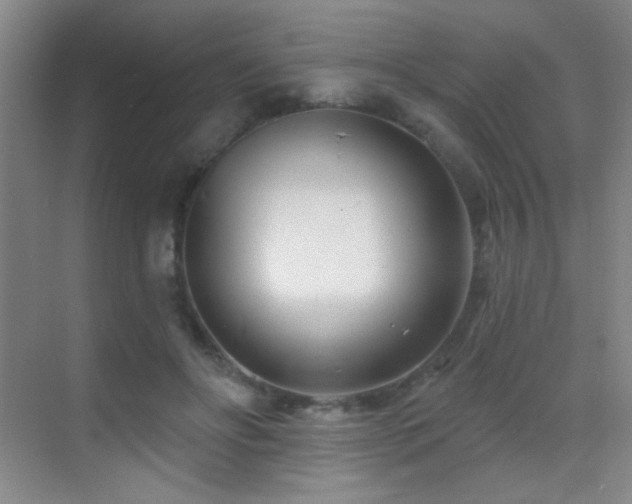 X0000070420502200606091241