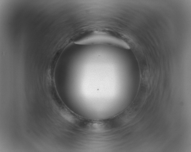 X0000070420506200606091241